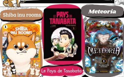 Club manga le mercredi 20 mai à 20h